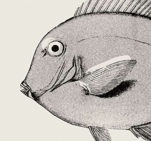 Pisces | 08 | Fine Art Print