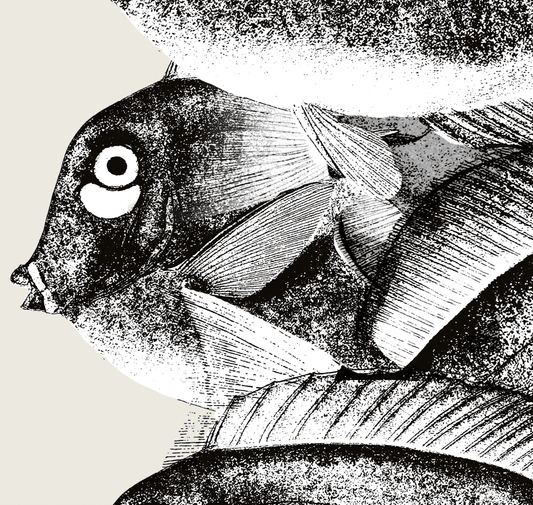 Pisces | 07 | Fine Art Print