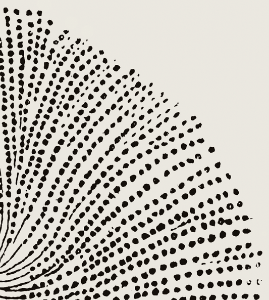 Coastal Drift | 22 | Fine Art Print