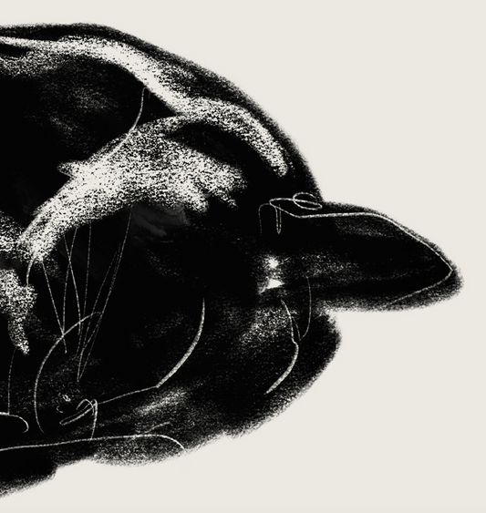 Nanoshima | 02 | Fine Art Print