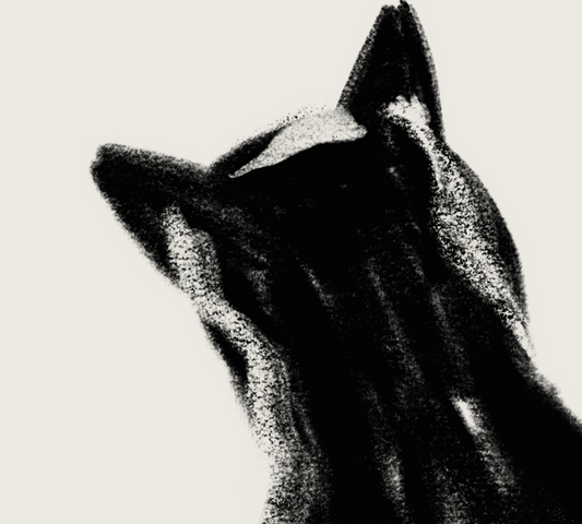 Nanoshima | 04 | Fine Art Print