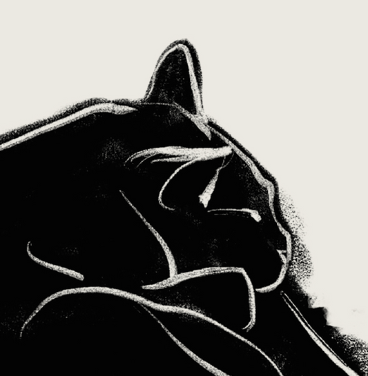 Nanoshima | 08 | Fine Art Print