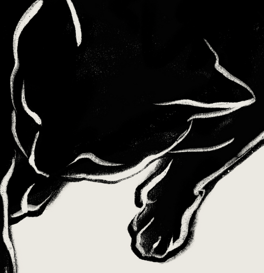 Nanoshima | 13 | Fine Art Print