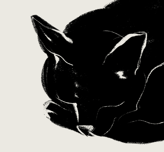 Nanoshima | 03 | Fine Art Print