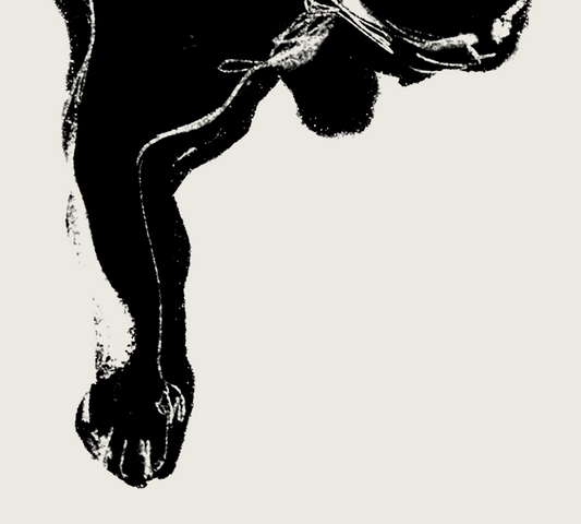 Nanoshima | 10 | Fine Art Print