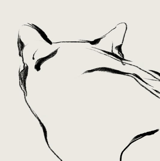 Mitsu | 08 | Fine Art Print