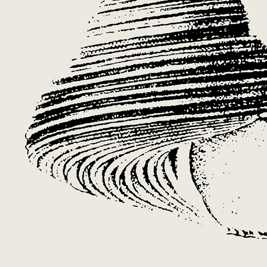 Coastal Drift | 01 | Fine Art Print