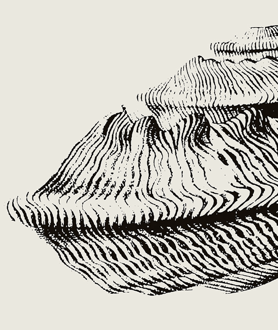 Coastal Drift | 20 | Fine Art Print