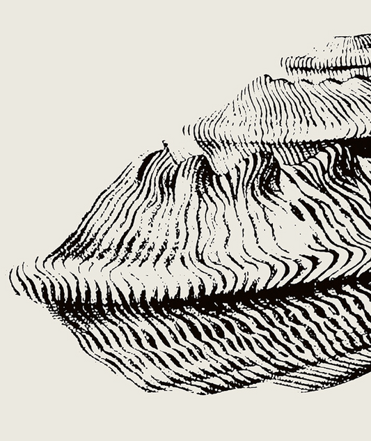 Coastal Drift | 20 | Fine Art Print