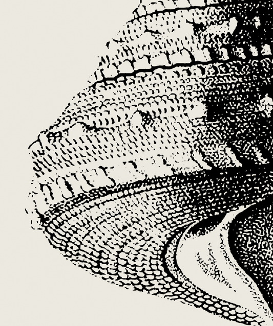 Coastal Drift | 03 | Fine Art Print