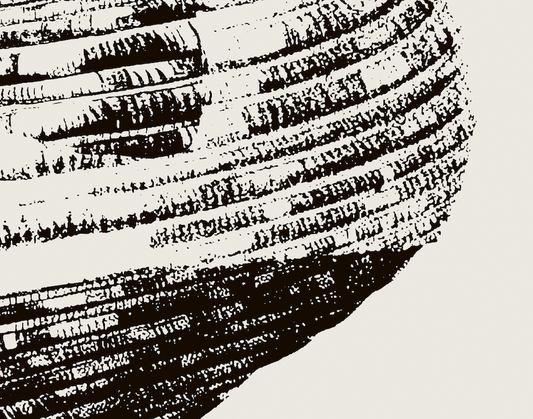 Coastal Drift | 19 | Fine Art Print