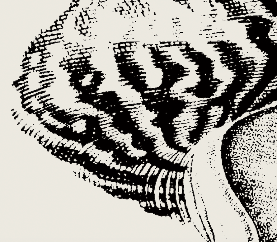 Coastal Drift | 18 | Fine Art Print