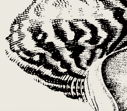 Coastal Drift | 18 | Fine Art Print