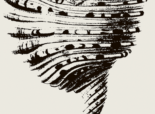 Coastal Drift | 17 | Fine Art Print