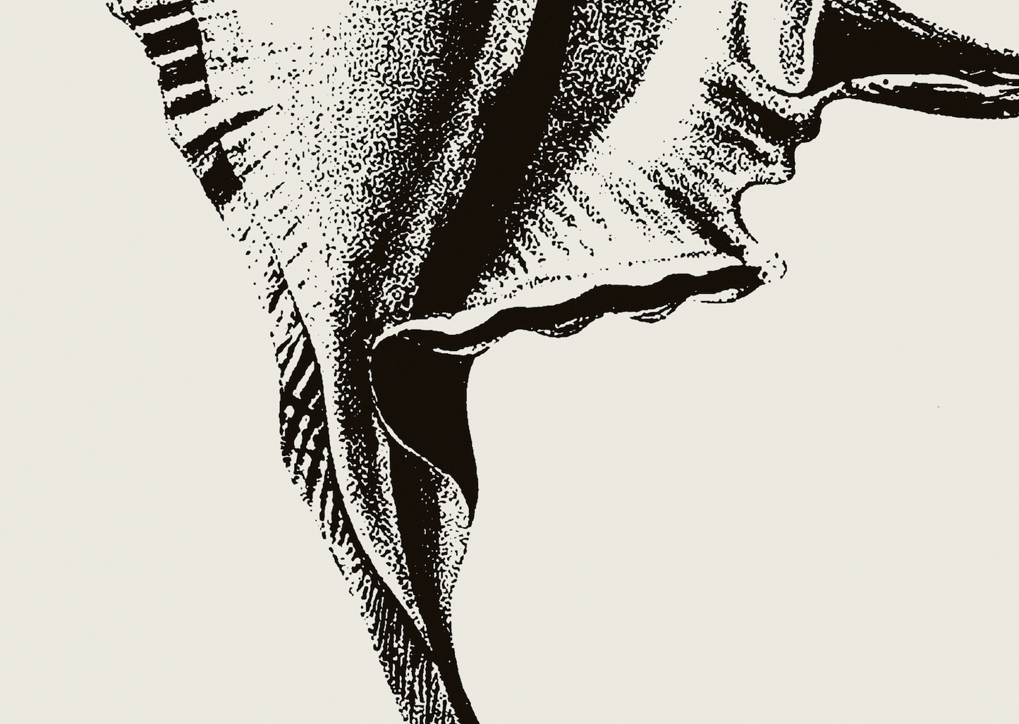 Coastal Drift | 16 | Fine Art Print