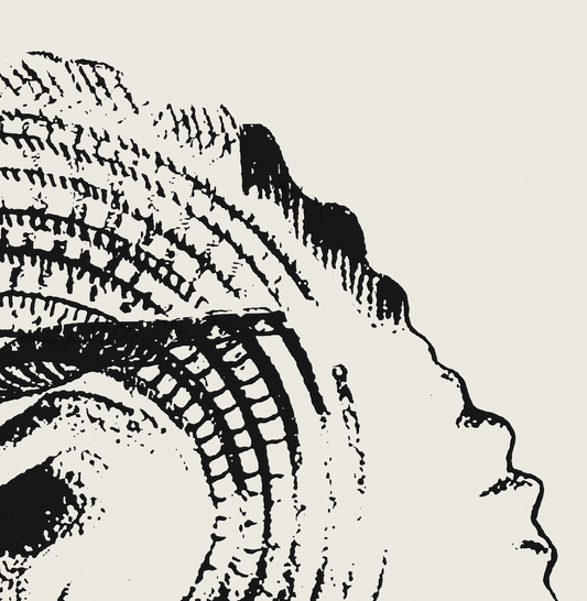 Coastal Drift | 15 | Fine Art Print