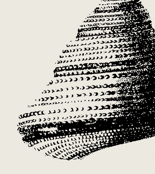 Coastal Drift | 02 | Fine Art Print