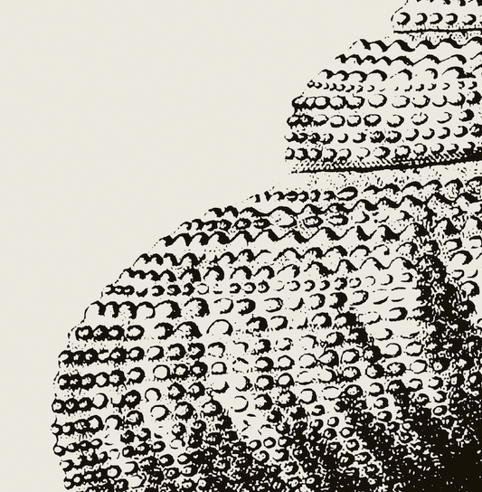 Coastal Drift | 06 | Fine Art Print