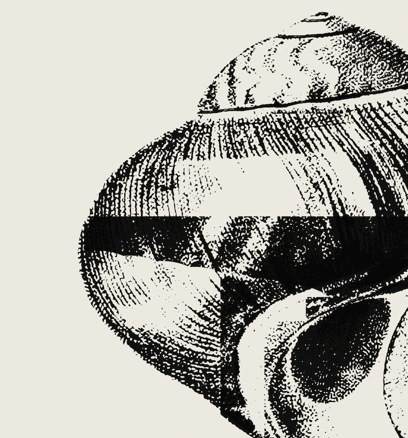 Coastal Drift | 07 | Fine Art Print