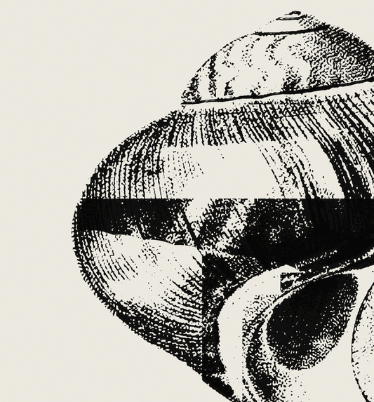 Coastal Drift | 07 | Fine Art Print