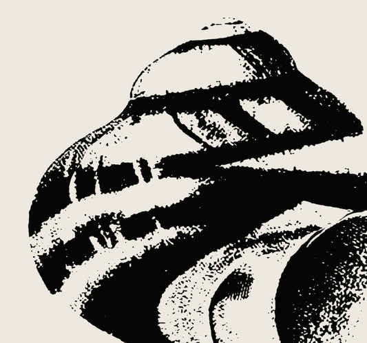 Coastal Drift | 09 | Fine Art Print