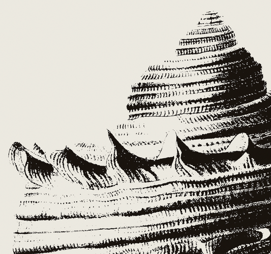 Coastal Drift | 12 | Fine Art Print