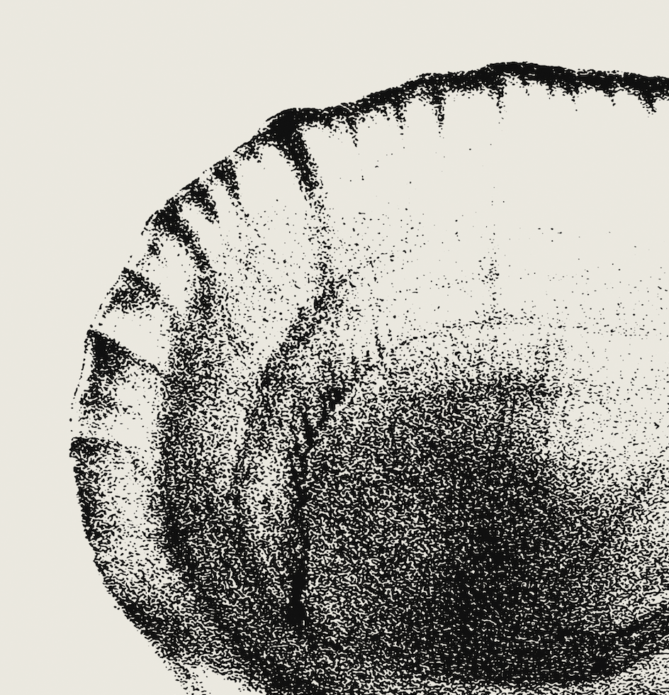 Coastal Drift | 11 | Fine Art Print