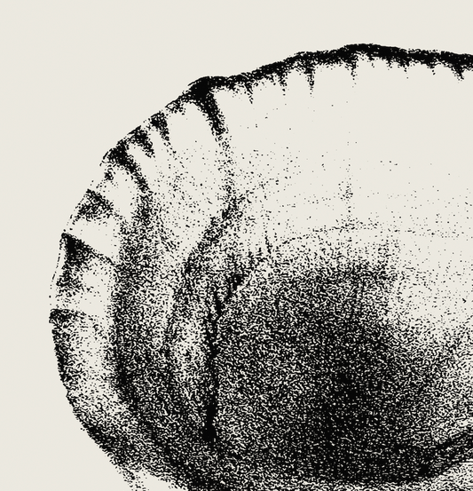 Coastal Drift | 11 | Fine Art Print