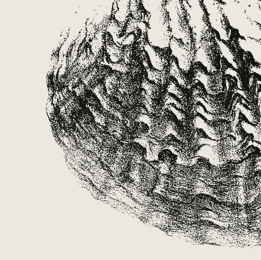 Coastal Drift | 10 | Fine Art Print