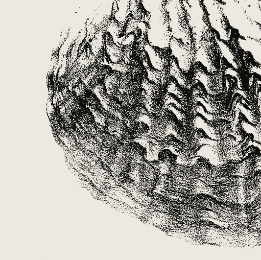 Coastal Drift | 10 | Fine Art Print