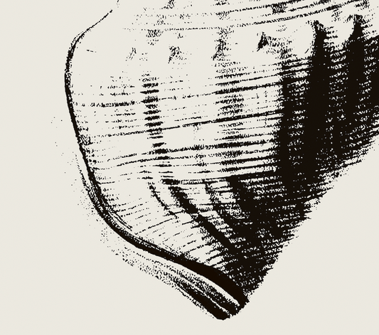 Coastal Drift | 14 | Fine Art Print