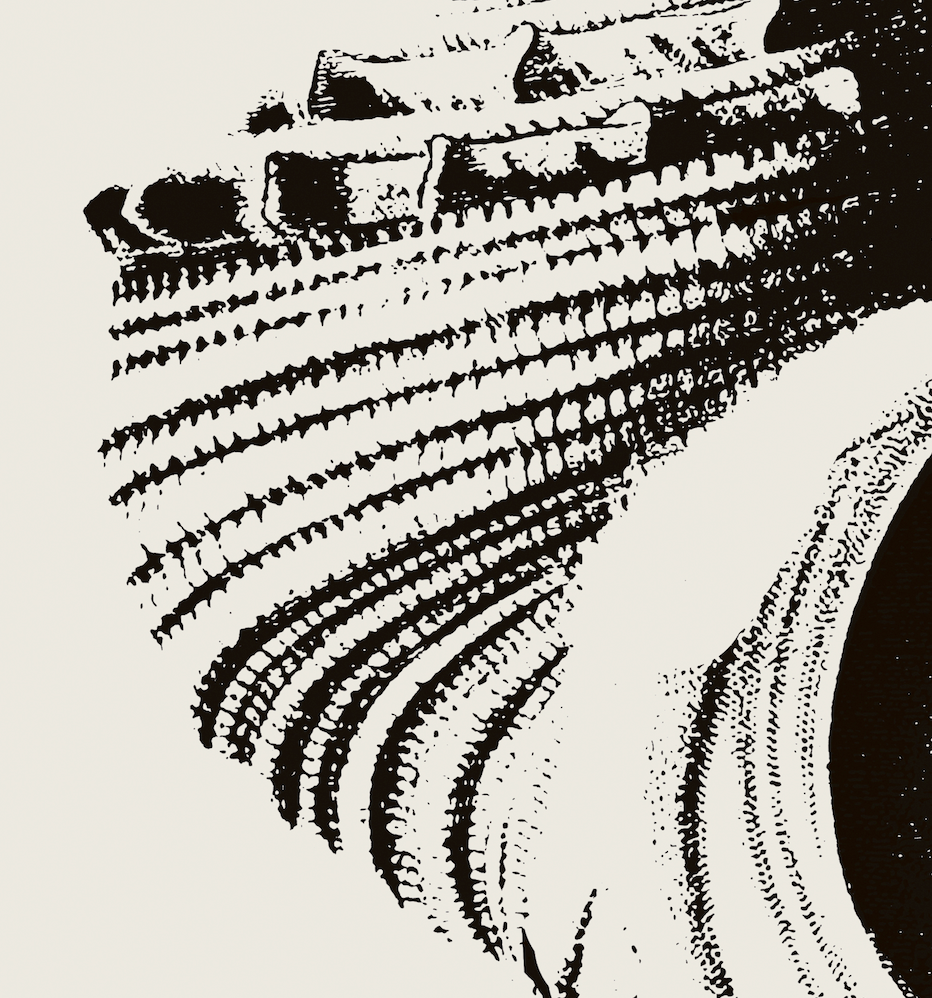 Coastal Drift | 13 | Fine Art Print