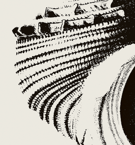 Coastal Drift | 13 | Fine Art Print