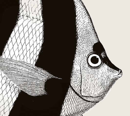 Pisces | 01 | Fine Art Print