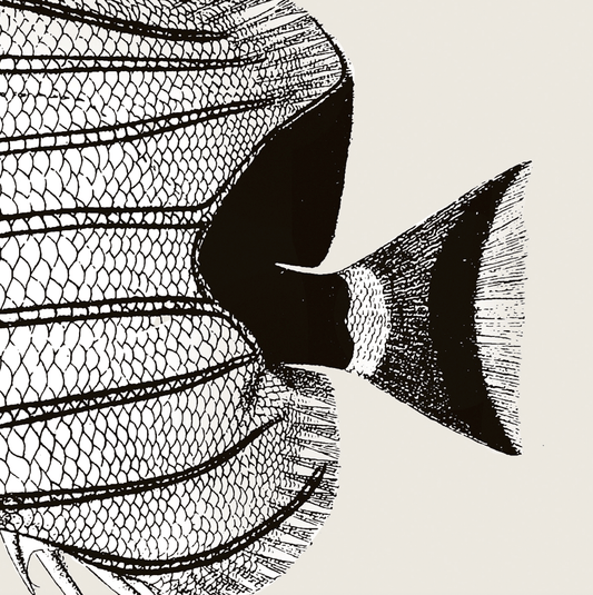 Pisces | 03 | Fine Art Print