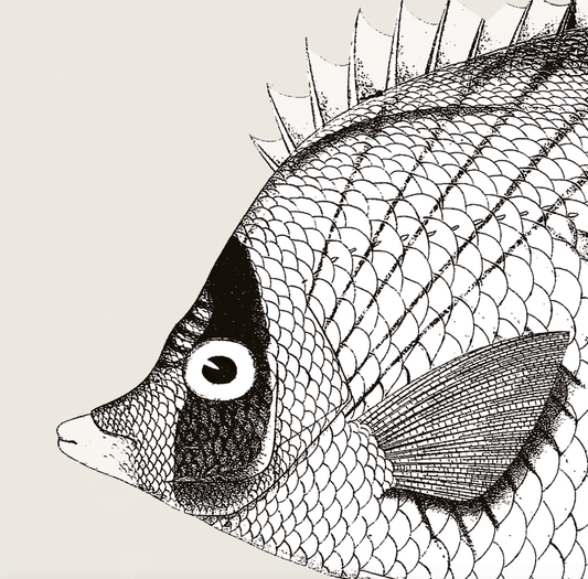 Pisces | 04 | Fine Art Print