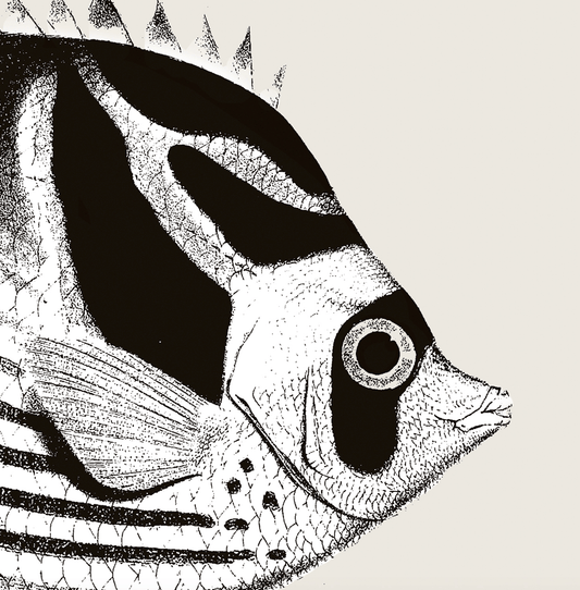 Pisces | 02 | Fine Art Print