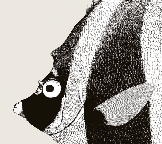 Pisces | 05 | Fine Art Print