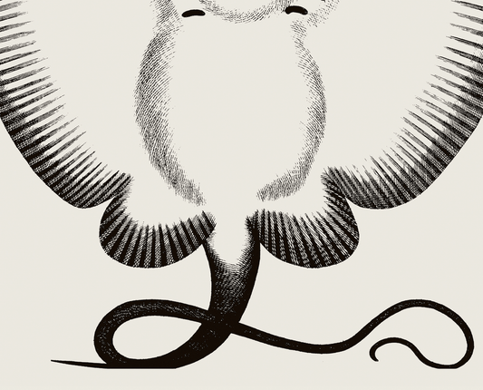 Pisces | 10 | Fine Art Print