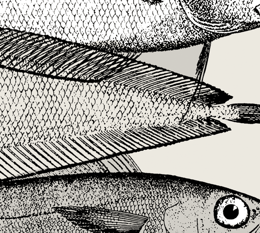 Pisces | 13 | Fine Art Print