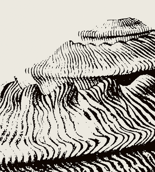 Coastal Drift | 21 | Fine Art Print