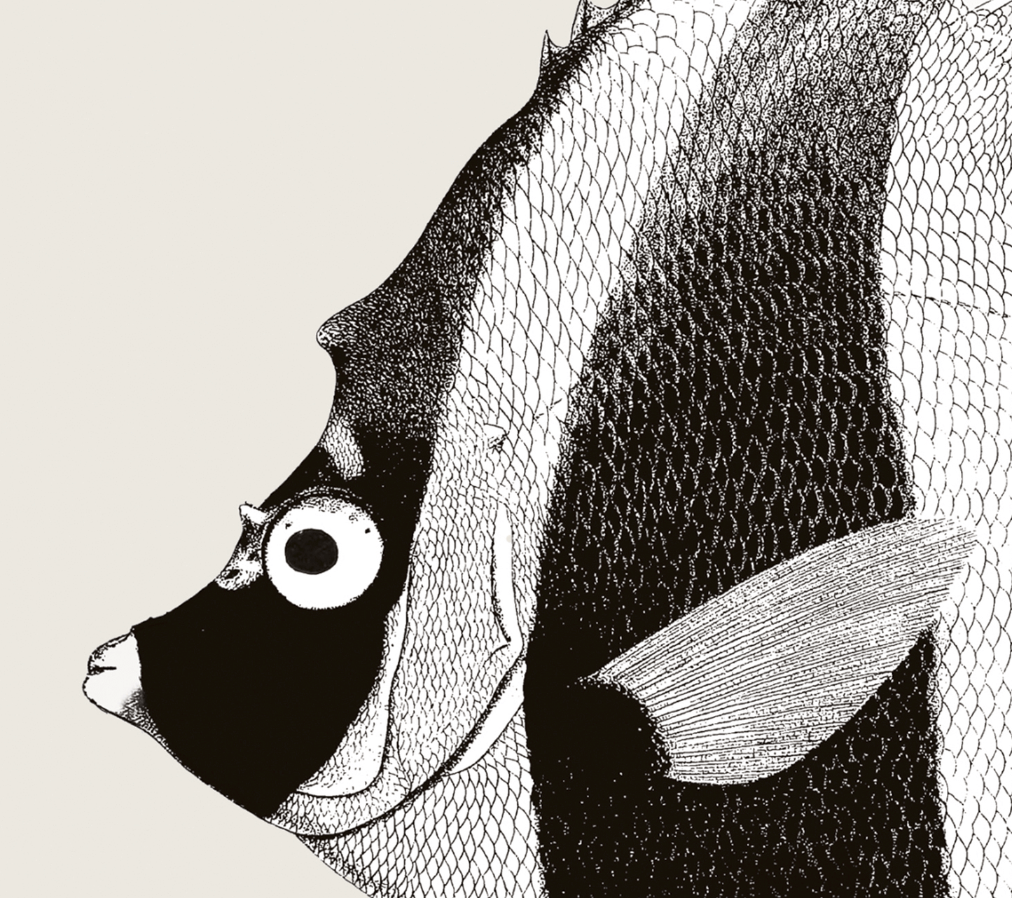 Pisces | 05 | Fine Art Print