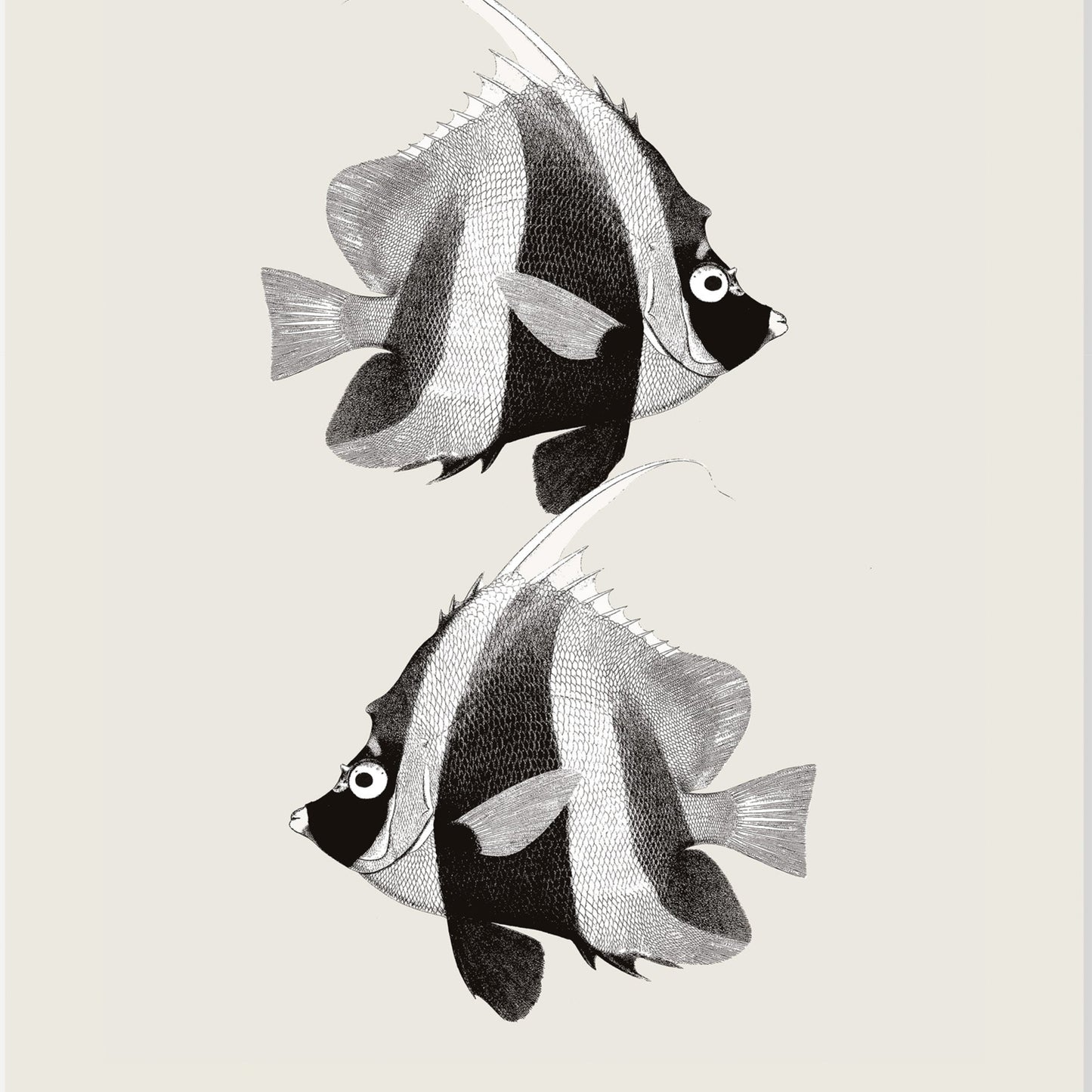 Pisces | 05 | Fine Art Print